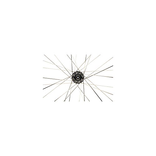 DT Swiss Aerolite spoke, sil 14g - box/20 262mm