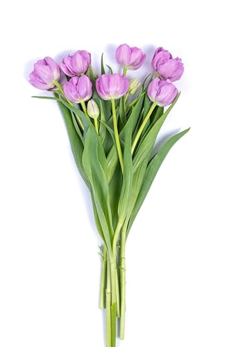 Floral Novelty Tulip 7 Stem, 1 Ea