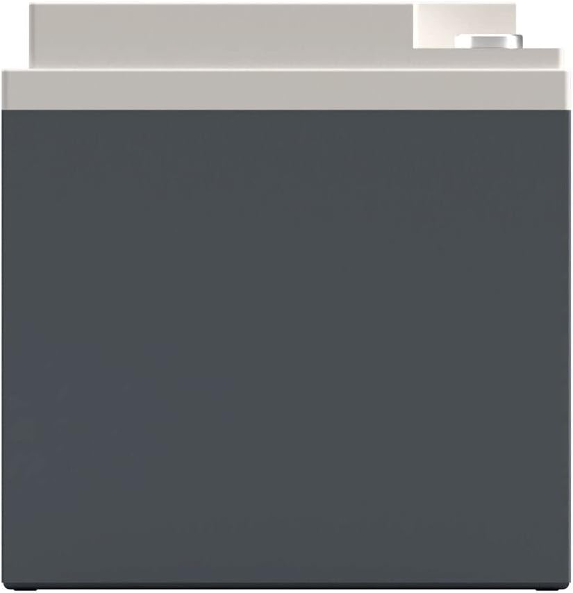 XS Power S1200 2600 Amp AGM Racing Battery with 586 & M6 Terminal Hardware - 12 Volt 55Ah 740CA Deep Cycle AGM Powercell for Performance Race Cars