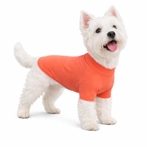 LoveLongLong Spring Summer Cooling Dog T-Shirt with UV Protection and Moisture-Wicking Fabric Blank Color Lobster Pink XS