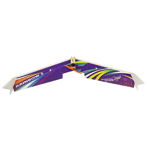 Avión RC de entrenamiento Rainbow Flying Wing II de 1000 mm para tardes de vuelo 5