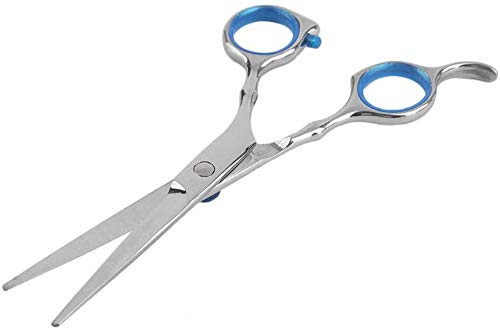Ciseaux de coiffure de salon en acier inoxydable pour sublimer chaque coupe