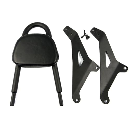 Dossier passager amovible avec coussin de dossier moto Stryker XVS1300