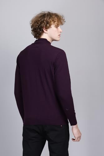 Image of GODFREY Woolen Full Sleeve Sweaters for Men Winter Wear - Turtle Neck Pullover for Men Stylish