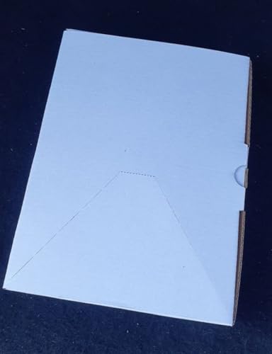 250 St. selbstklebende C5 Dokumententaschen 235 x 175 mm Lieferscheintaschen Rechnungstaschen