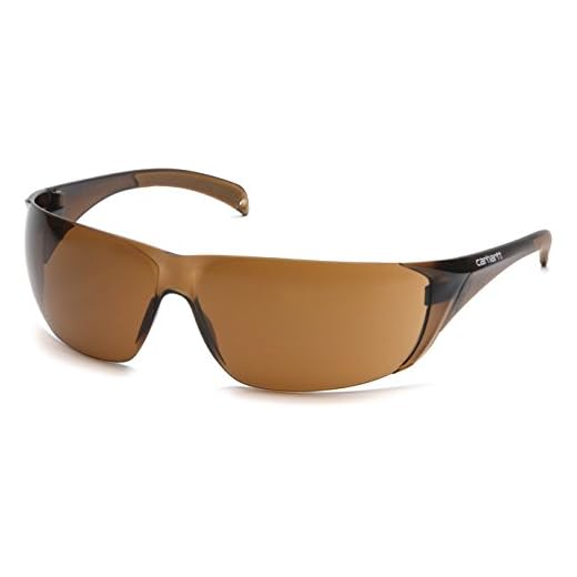 Guy Fieri Costume Glasses