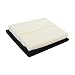 ECOGARD XA6114 Premium Engine Air Filter Fits Lexus CT200h 1.8L HYBRID 2011-2017, NX300h 2.5L HYBRID 2015-2020 | Toyota Prius 1.8L HYBRID 2010-2015, Prius V 1.8L HYBRID 2012-2017