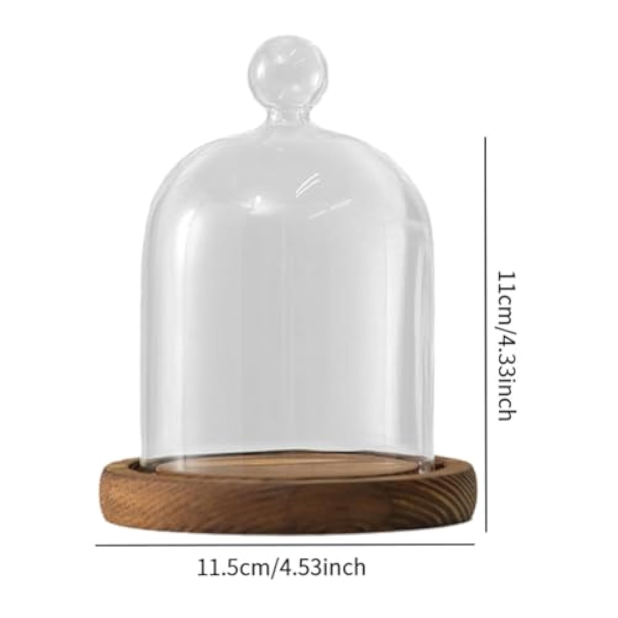 Clear Glass Dome Bell Jar for Centrepieces, Multipurpose