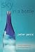 Sky in a Bottle (The MIT Press)