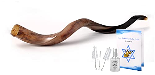 Shofar 36-38" Extra Large Yemenite Kudu Horn Full Polished + Anti Odor Spray + Brush + Bag From Israel #TOP2