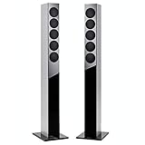 Revox Elegance G120 2.5 Wege-Bassreflex Lautsprecher Silber schwarz weiß (Silber/Schwarz)