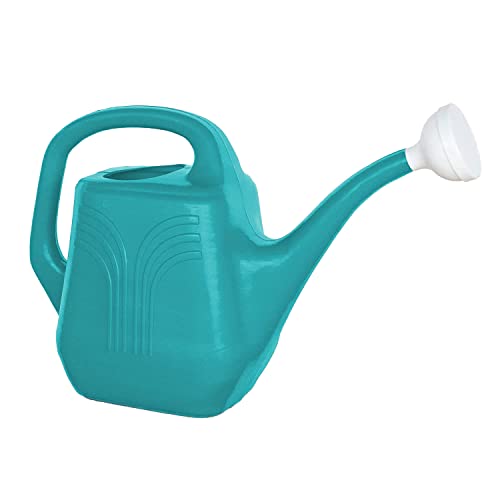 Top 10 Best 2 gallon watering can Reviews & Buying Guide Maine