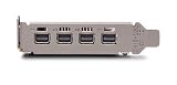 PNY Quadro P620 Graphic Card - 2 GB GDDR5 - niskie profile - Single Slot Space Required