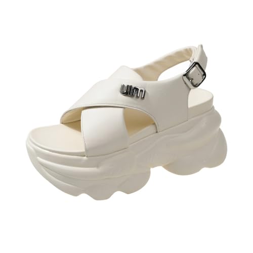 [MTKCNTL] T_ fB[X  y Xgbv NXT_ Ȃ r gAbv X|T RtH[g ߉\  AEghA  ʋ s