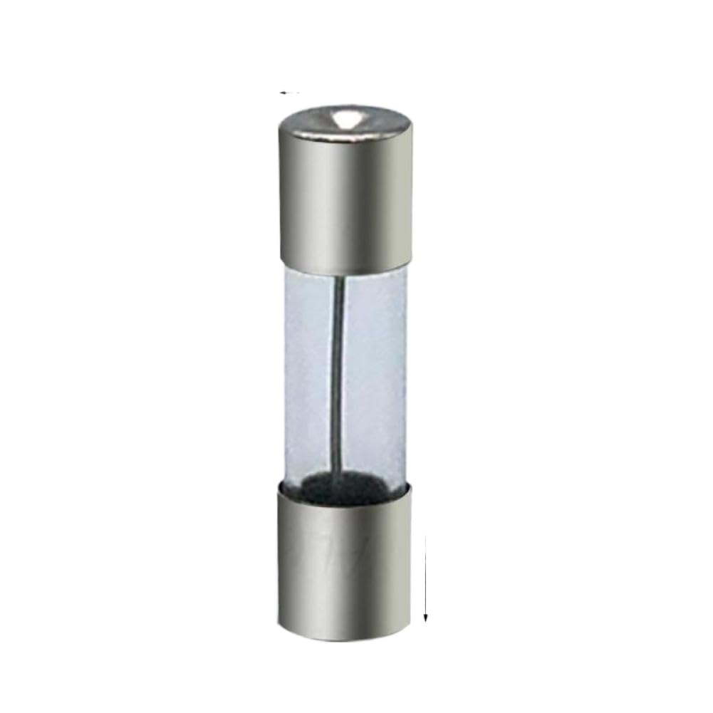 Feine Glasrohrsicherungen 5 x 20 mm, 100-teiliges Set, kompatibel mit Elektronik