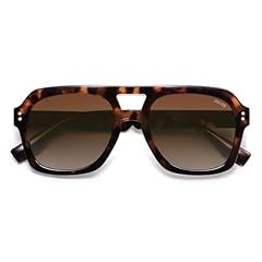 Brown Tortoise/Brown