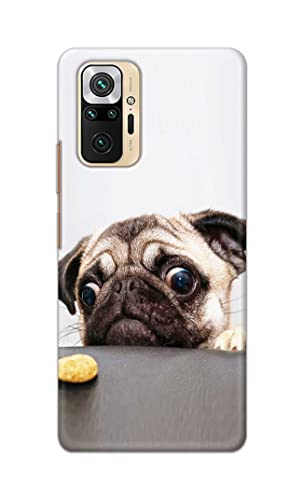 Image of Printed Hard Back Cover Case for Mi Redmi Note 10 Pro | Mi Redmi Note 10 Pro Max Back Cover (Pug Dog) -203