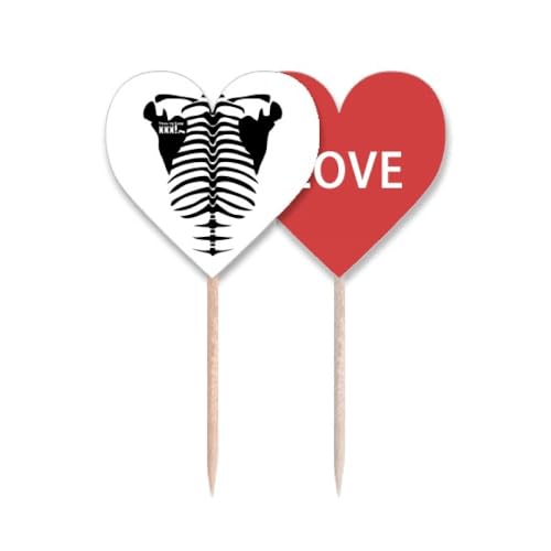 Décoration squelette corps humain motif cure-dents drapeau amour cœur cupcake