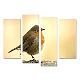 islandburner Prime Bild auf Leinwand Rotkehlchen Bilder 