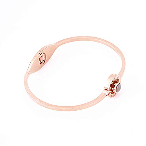 QueenDer Bracelet pour Femme Love Memories Projection en Zircon en 100 Langues Bracelet en Or Rose pour Femme et Fille