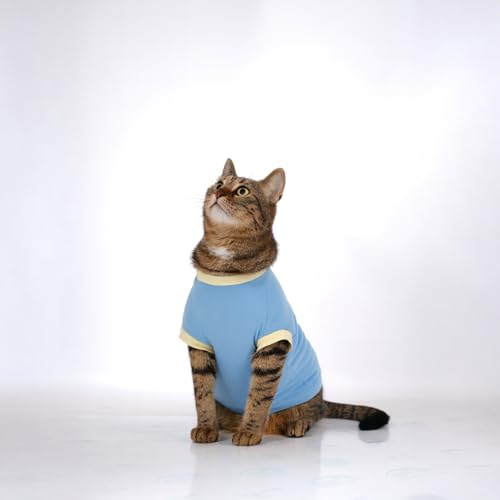 Image of Thunder Tails Printed Cat T-Shirt for Small to Large Cats & Kittens | Lightweight Breathable Cotton Pet Apparel | Cute & Stylish, Comfortable Round Neck Cat Clothes (M, Baby Blue)