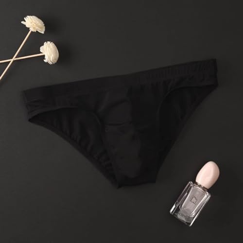 Men's Sexy Briefs Soft Comfortable Ice Silk Underwear See Through Thin Breathable Sexy Panties Low Rise Underpants2