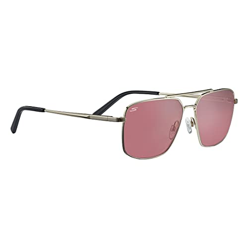 Serengeti Aitkin Sunglasses Men's