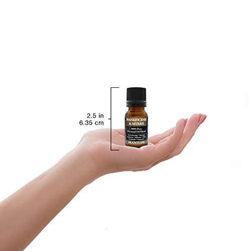 Plantlife Frankincense & Myrrh Aromatherapy Essential Oil Blend - Straight From The Plant 100% Pure Therapeutic Grade - No Additives Or Fillers - Made In California 10 Ml #TOP2