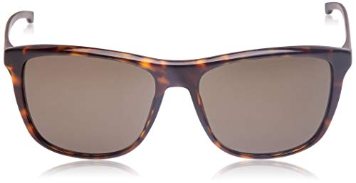 Sunglasses Boss Black Boss 874 /S 0P0I Dark Havana / NR brown gray lens2