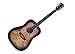 Washburn Deep Forest Burl 6 String Acoustic Guitar, Right, Black Fade (DFBDB)