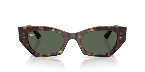 Image of RAY-BAN Unisex Irregular Sunglasses - 0RB4430