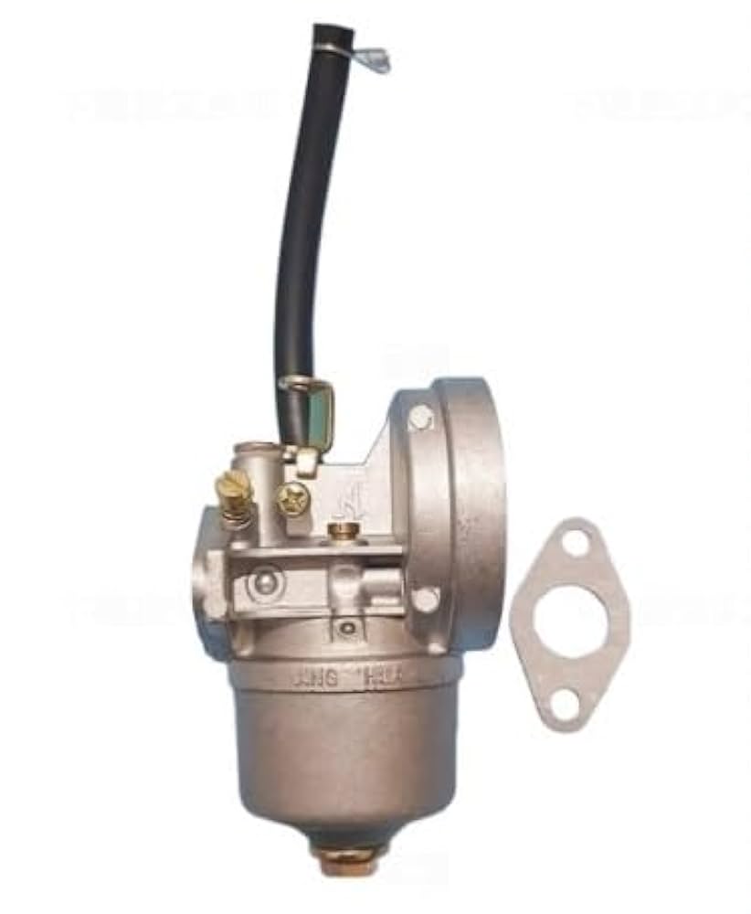 Amazon.com: AOKLEY LPG DUAL CONVERSION KIT CARBURETOR AY FOR