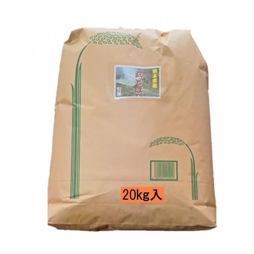 ߘa6N F{Y  20kg Ɩp