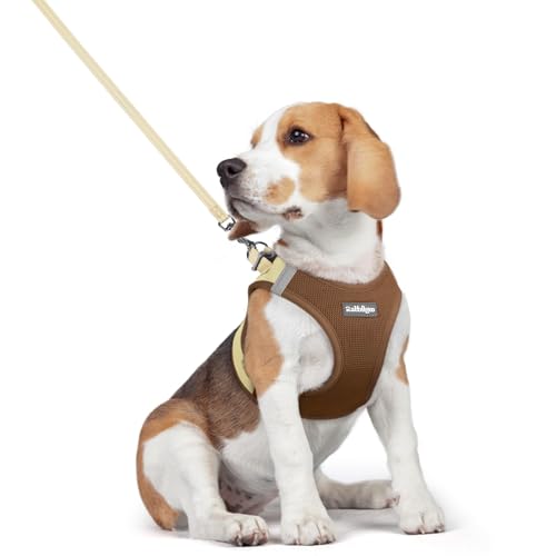 Image of rabbitgoo Dog Harness Medium Sized and Leash Set, Step-in Puppy Pet Vest
