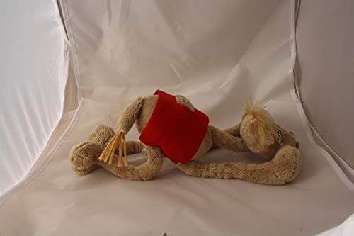 Camel-O-Boy®, Sabine P.Moser [originale]