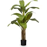 Maia Shop 5ft Artificial Banana Tree Plant for House, Apartment or Office – Realistic Fake Indoor Plants for Living Room, Kitchen, Bedroom, Entryway or Bathroom – Faux Greenery for Home Décor