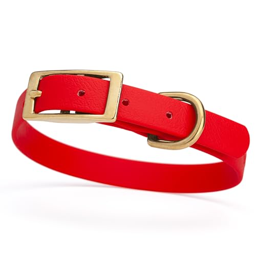 Image of Viper Biothane Heavy Duty Waterproof Dog Collar Strong Coated Nylon Webbing w /Solid Brass Hardware Odor-Proof Easy to Clean High Performance Fits Small Medium or Large Dogs, Cherry Red