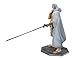 Excellent Model Series P.O.P - Portrait Of Pirates - One Piece Collection NEO-DX Silvers Rayleigh 24.5 cm Tall Figure