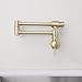 RANDOM Brushed Gold Pot Filler Over Stove Faucet Brass Wall Mount Folding Kitchen Sink Faucet Double Joint Swing Arms.RD-81916-BG
