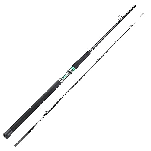 Sougayilang Caña para Pesca de Bagre Spinning y Casting, 2 Piezas, Media Pesada, Portátil para Viajes (7'/7'6''/8'') miniatura 2