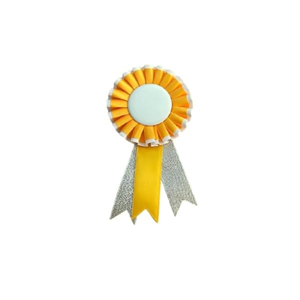 Gmefvr Award Ribbon Badge Brooch RNR office corporate Reward Rosette - Image 3