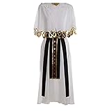 Fate/Prototype Fragments of Sky Silver Nefertari Cosplay Costume Halloween Christmas New Year Party Costume (Female M)