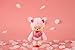 Monchhichi Sakura (Cherry Blossom) Girl Plush Toy - Pink