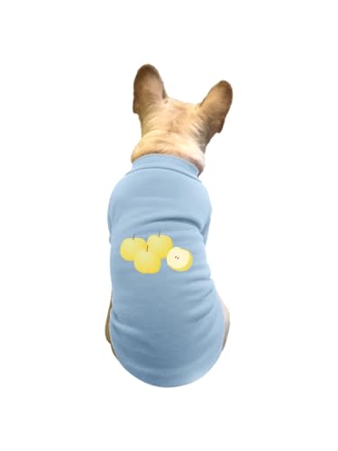 ���� �H�̖��o�̗� �y�b�g�� T�V���c �H�~ �g���[�i�[ �L�� �h�� �g���� �J�W���A�� ������� ������ ���[���E�F�A ���� �E�ѕی� ���o���� �U�� XL