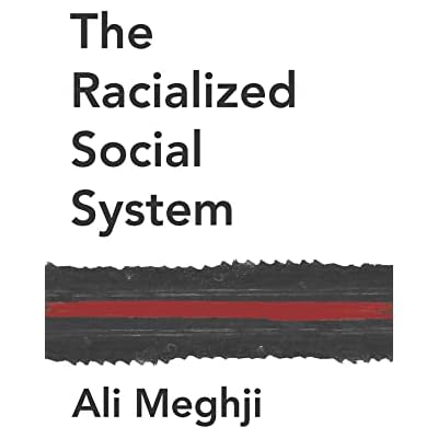 The Racialized Social System