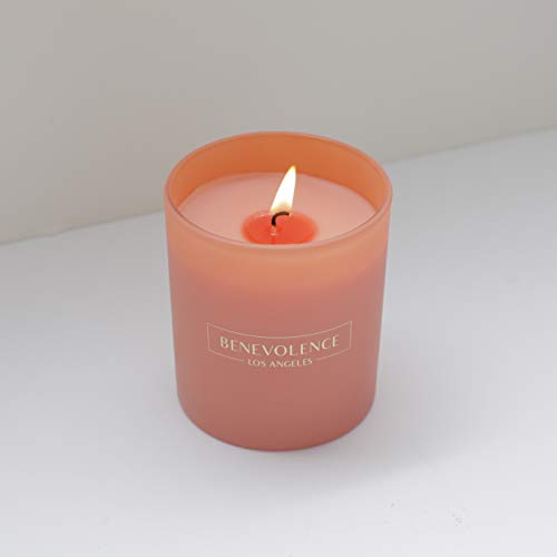 Benevolence La Tudor Rose & Amber Pink Candle | 8 Oz Scented Candles Gifts For Women | Natural Soy Candles For Home Scented | 45 Hour Burn Aromatherapy Candle | Perfect Spring Candles #TOP6