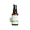 The Purest Solutions Vitamin B Complex Serum (Niacinamide 10% + Vitamin B Complex) - Anti-Sensitization, Anti-Redness, Restorative - Vegan | Cruelty Free | Eco Friendly (30 ml)