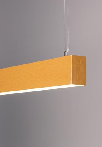 Image of Acco LED Modern 50x80mm LED Linear Light | Golden Linear Light | Decorative Pendant for Workspaces, Offices & Commercial Interiors | 50W | 4000K Neutral White