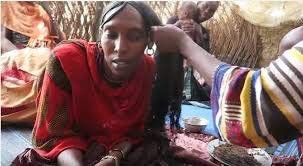 Miniatura 8 de Uhuru Naturals Chebe Powder 0.71 oz  Polvo de Chebe africano natural sin colorante con lavanda para un mayor crecimiento y fuerza del cabello