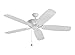 Monte Carlo 5CSM60RZW Colony Super Max Dual Mount 60